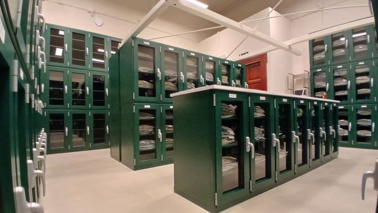 Università di Pisa: Digitalizzati i 357 mila campioni dell'Erbario