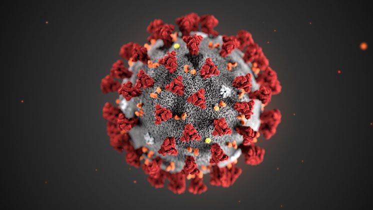 Coronavirus, comunicazione agli Atenei e alle Istituzioni Afam di Emilia-Romagna, Lombardia e Veneto